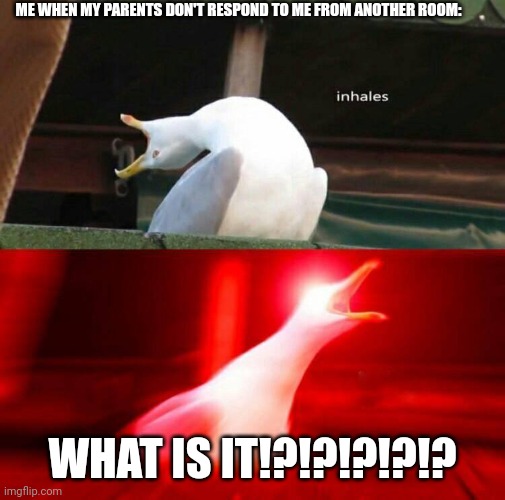 Why do parents always do this? | ME WHEN MY PARENTS DON'T RESPOND TO ME FROM ANOTHER ROOM:; WHAT IS IT!?!?!?!?!? | image tagged in inhaling seagull | made w/ Imgflip meme maker