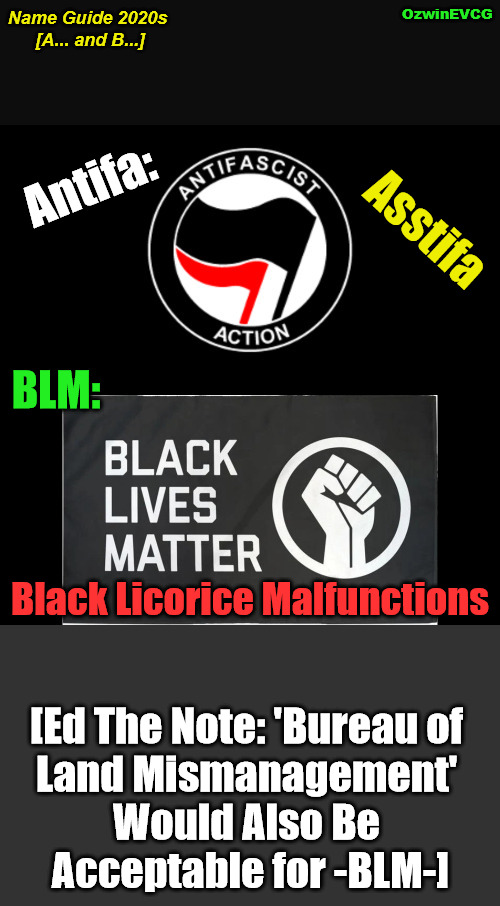 Name Guide 2020s [A... and B...] | OzwinEVCG; Name Guide 2020s 

[A... and B...]; Antifa:; Asstifa; BLM:; Black Licorice Malfunctions; [Ed The Note: 'Bureau of 

Land Mismanagement' 

Would Also Be 

Acceptable for -BLM-] | image tagged in bureau of land mismanagement,bureau of land management,black licorice malfunctions,black lives matter,asstifa,antifa | made w/ Imgflip meme maker