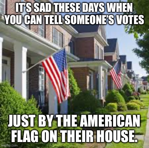 IT’S SAD THESE DAYS WHEN YOU CAN TELL SOMEONE’S VOTES; JUST BY THE AMERICAN FLAG ON THEIR HOUSE. | made w/ Imgflip meme maker