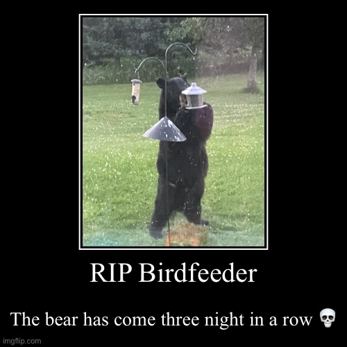 Erm | RIP Birdfeeder | The bear has come three night in a row ? | image tagged in demotivationals,idk | made w/ Imgflip demotivational maker