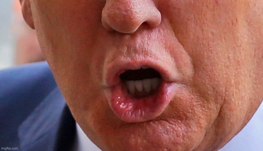 Trump's Mouth | image tagged in trump's mouth | made w/ Imgflip meme maker