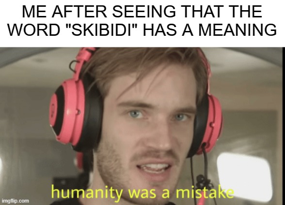 no way we got a meaning for this word | ME AFTER SEEING THAT THE WORD "SKIBIDI" HAS A MEANING | image tagged in humanity was a mistake | made w/ Imgflip meme maker