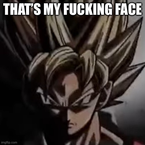 Mad goku meme | THAT’S MY FUCKING FACE | image tagged in mad goku meme | made w/ Imgflip meme maker