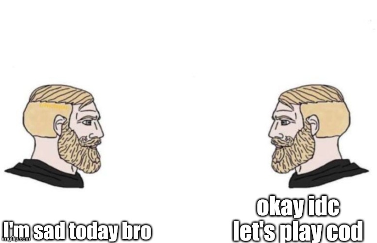 Double Yes Chad | I'm sad today bro okay idc let's play cod | image tagged in double yes chad | made w/ Imgflip meme maker