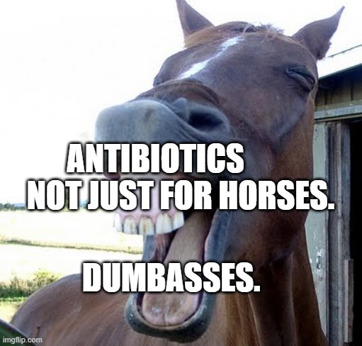 horse laugh | ANTIBIOTICS          NOT JUST FOR HORSES. DUMBASSES. | image tagged in horse laugh | made w/ Imgflip meme maker