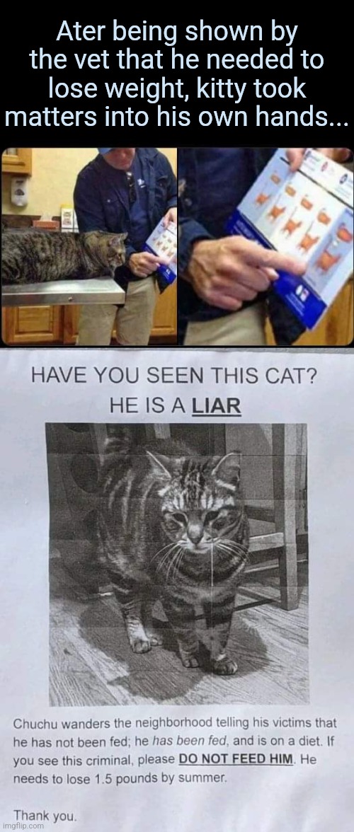Con Cat | Ater being shown by the vet that he needed to lose weight, kitty took matters into his own hands... | image tagged in fat cat,con man,diet,rebel,cats | made w/ Imgflip meme maker