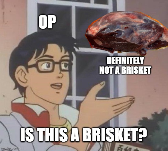 Is This A Pigeon Meme | OP; DEFINITELY NOT A BRISKET; IS THIS A BRISKET? | image tagged in memes,is this a pigeon | made w/ Imgflip meme maker