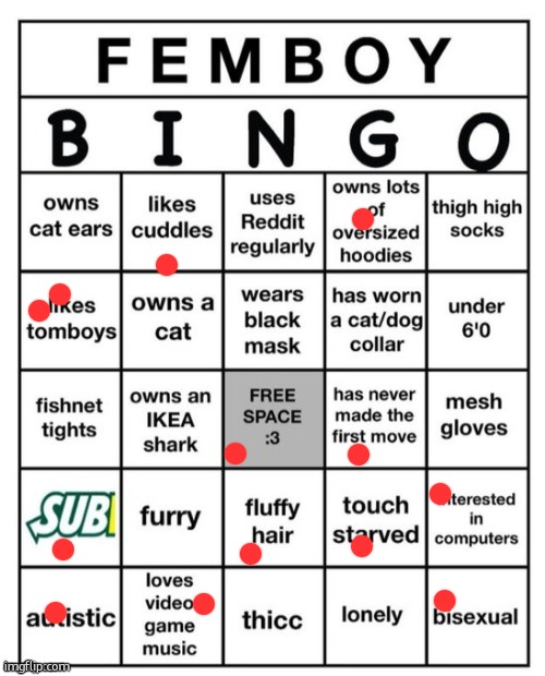 Femboy Bingo | image tagged in femboy bingo | made w/ Imgflip meme maker