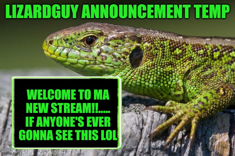 First meme in the new stream I guess | WELCOME TO MA NEW STREAM!!.....
IF ANYONE'S EVER GONNA SEE THIS LOL | image tagged in lizardguy announcement temp,new stream | made w/ Imgflip meme maker