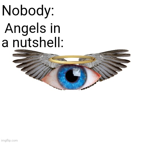 Angels: | Nobody:; Angels in a nutshell: | image tagged in angels,god,christianity | made w/ Imgflip meme maker