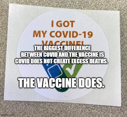 Covid vaccine sticker | THE BIGGEST DIFFERENCE BETWEEN COVID AND THE VACCINE IS COVID DOES NOT CREATE EXCESS DEATHS. THE VACCINE DOES. | image tagged in covid vaccine sticker | made w/ Imgflip meme maker