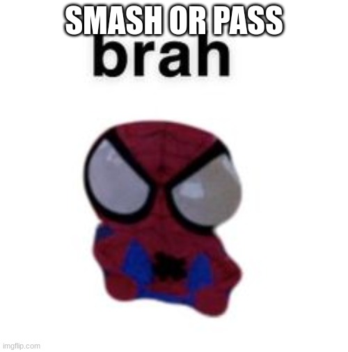 spiderman plush brah | SMASH OR PASS | image tagged in spiderman plush brah | made w/ Imgflip meme maker