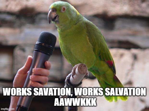 parrot | WORKS SAVATION, WORKS SALVATION
 AAWWKKK | image tagged in parrot | made w/ Imgflip meme maker