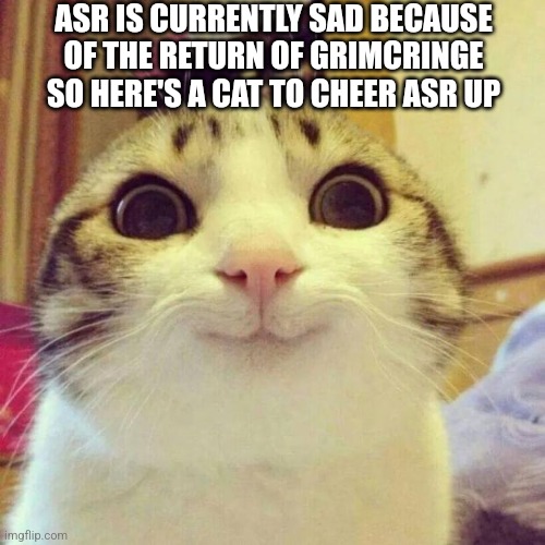 "Why is ASR so sad?" -ASU | ASR IS CURRENTLY SAD BECAUSE OF THE RETURN OF GRIMCRINGE SO HERE'S A CAT TO CHEER ASR UP | image tagged in memes,smiling cat | made w/ Imgflip meme maker