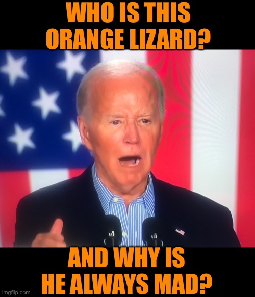 I have no policies to speak of so I just say Trump bad | WHO IS THIS ORANGE LIZARD? AND WHY IS HE ALWAYS MAD? | image tagged in the orange lizard,idiot biden,moron get off the stage,the lying left at it again | made w/ Imgflip meme maker