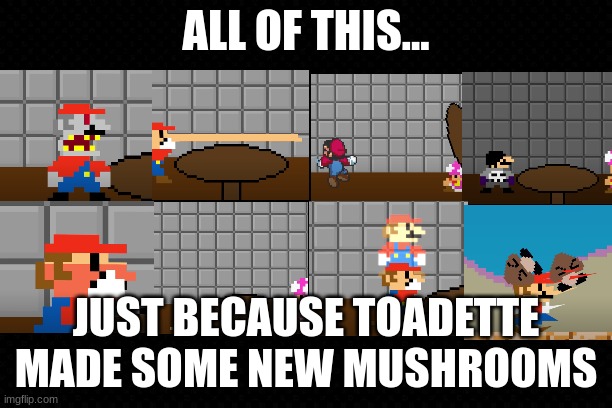 Toadette, What Have You Done? | ALL OF THIS... JUST BECAUSE TOADETTE MADE SOME NEW MUSHROOMS | image tagged in free,super mario,youtube,what is this,funny | made w/ Imgflip meme maker