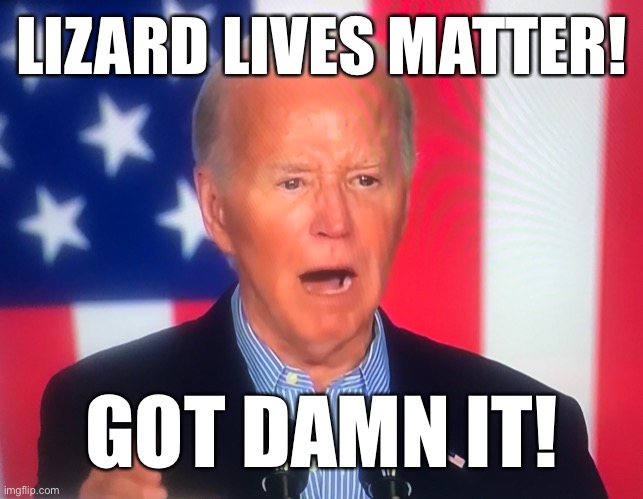 No Malarky and Hutch | LIZARD LIVES MATTER! GOT DAMN IT! | image tagged in the orange lizard | made w/ Imgflip meme maker