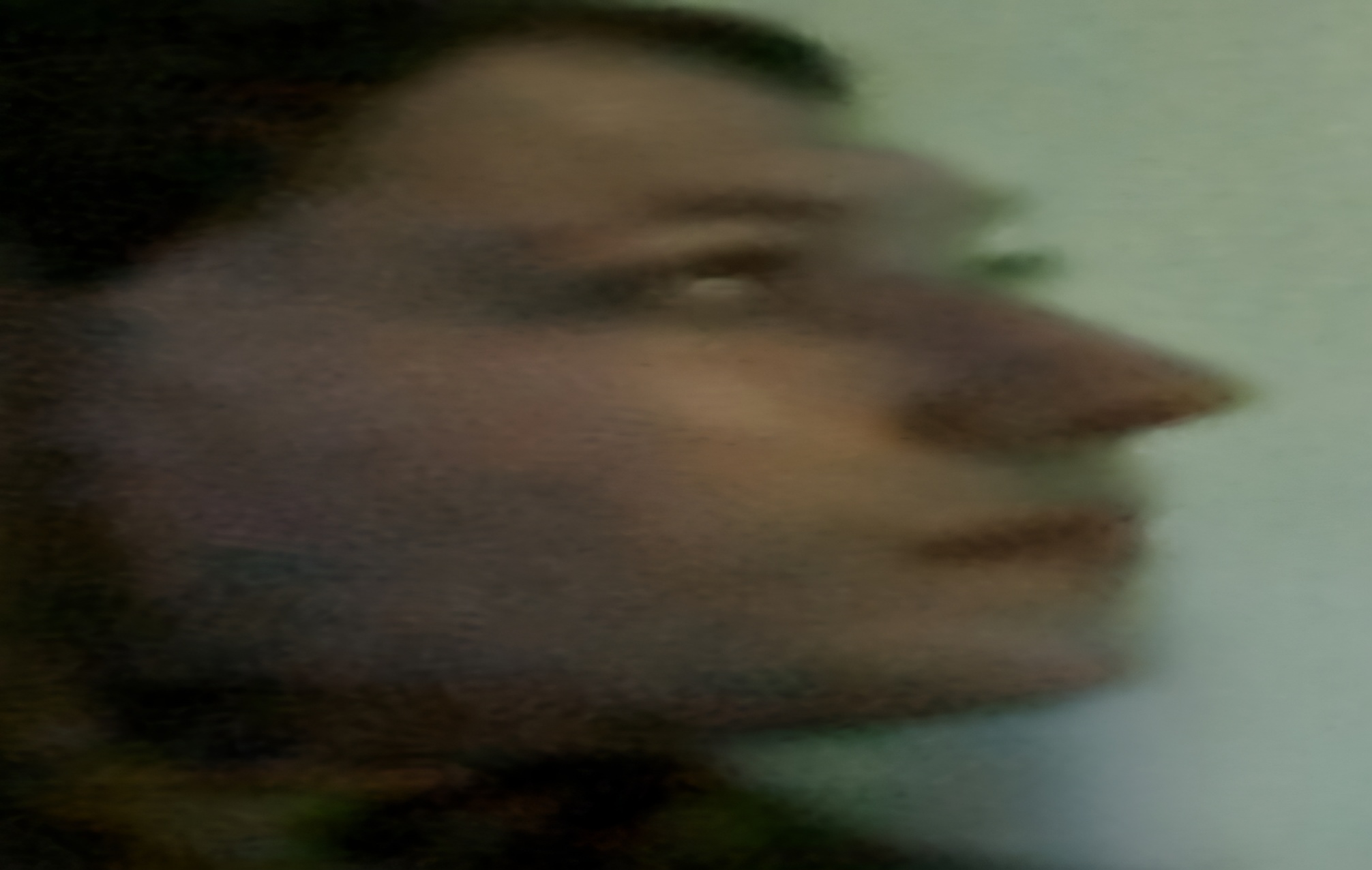 Gru sister Blank Meme Template
