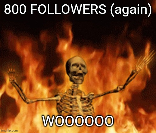 Someone left and it went back down to 799, but we back | 800 FOLLOWERS (again); WOOOOOO | image tagged in skeleton burning in hell | made w/ Imgflip meme maker