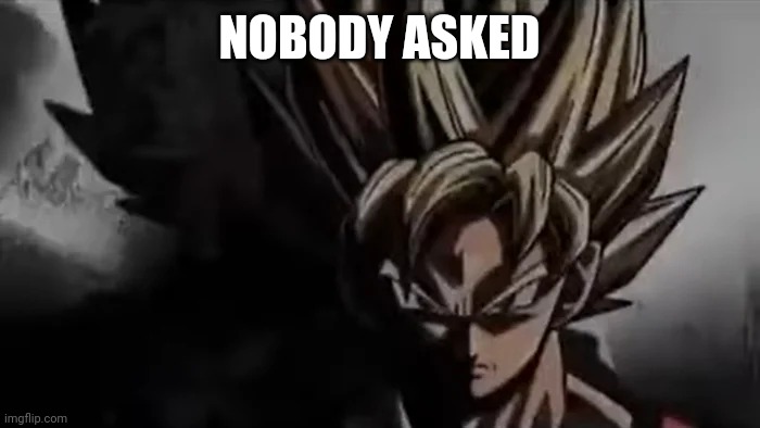 NOBODY ASKED | image tagged in goku staring | made w/ Imgflip meme maker