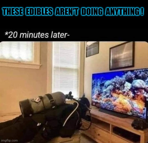 Umm | THESE  EDIBLES  AREN'T  DOING  ANYTHING ! | image tagged in thc,drugs,wow | made w/ Imgflip meme maker