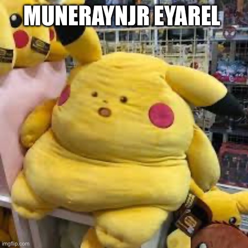 suprised pikachu FAT | MUNERAYNJR EYAREL | image tagged in suprised pikachu fat | made w/ Imgflip meme maker