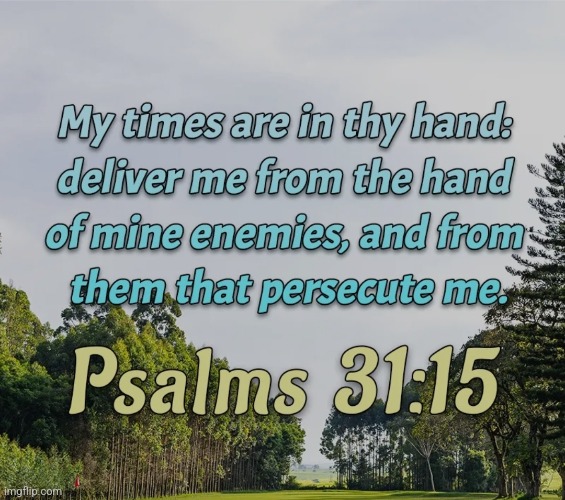 Psalms 31:15 | image tagged in psalms 31 15 | made w/ Imgflip meme maker