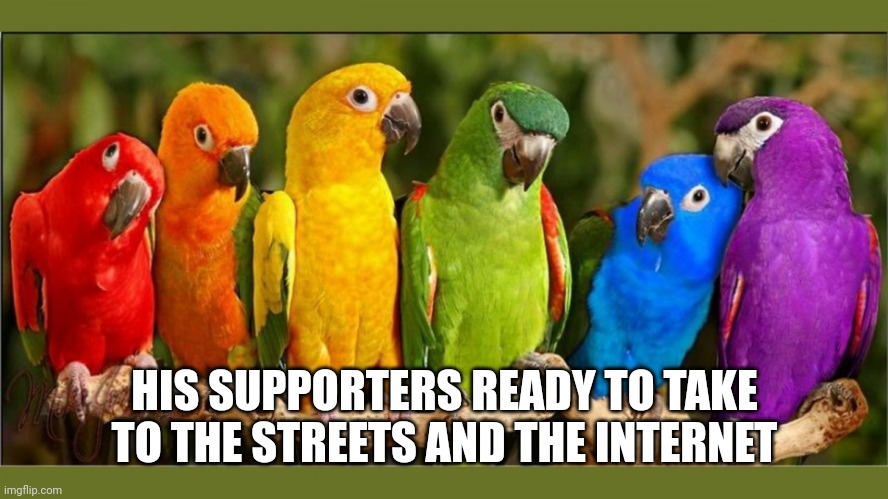 parrots | HIS SUPPORTERS READY TO TAKE TO THE STREETS AND THE INTERNET | image tagged in parrots | made w/ Imgflip meme maker