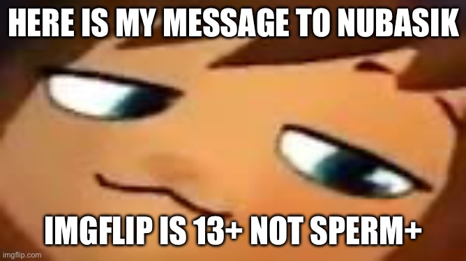 smug hat kid.mp4 | HERE IS MY MESSAGE TO NUBASIK; IMGFLIP IS 13+ NOT SPERM+ | image tagged in smug hat kid mp4 | made w/ Imgflip meme maker