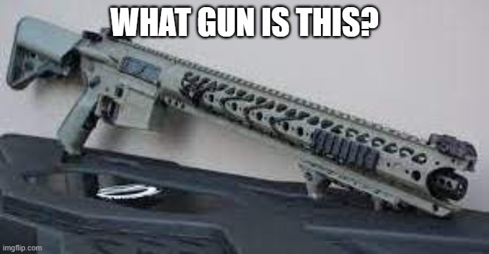 answer. | WHAT GUN IS THIS? | image tagged in test,guns | made w/ Imgflip meme maker
