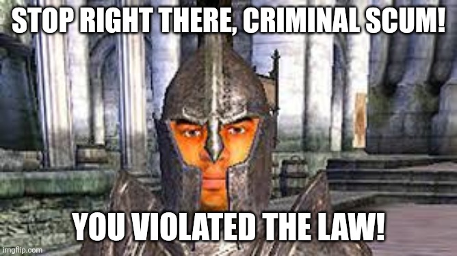 Stop right there criminal scum | STOP RIGHT THERE, CRIMINAL SCUM! YOU VIOLATED THE LAW! | image tagged in stop right there criminal scum | made w/ Imgflip meme maker