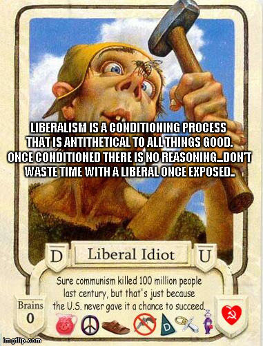 LIBERALISM IS A CONDITIONING PROCESS THAT IS ANTITHETICAL TO ALL THINGS GOOD. ONCE CONDITIONED THERE IS NO REASONING...DON'T WASTE TIME WITH | image tagged in human condition | made w/ Imgflip meme maker
