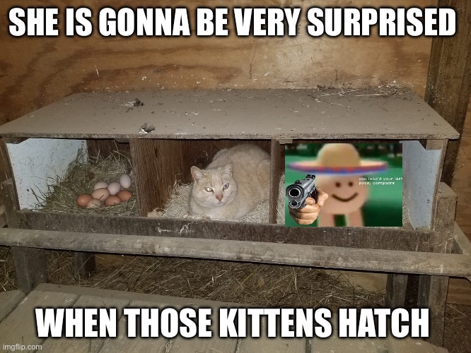 Cat Laying Eggs | SHE IS GONNA BE VERY SURPRISED; WHEN THOSE KITTENS HATCH | image tagged in cat laying eggs | made w/ Imgflip meme maker