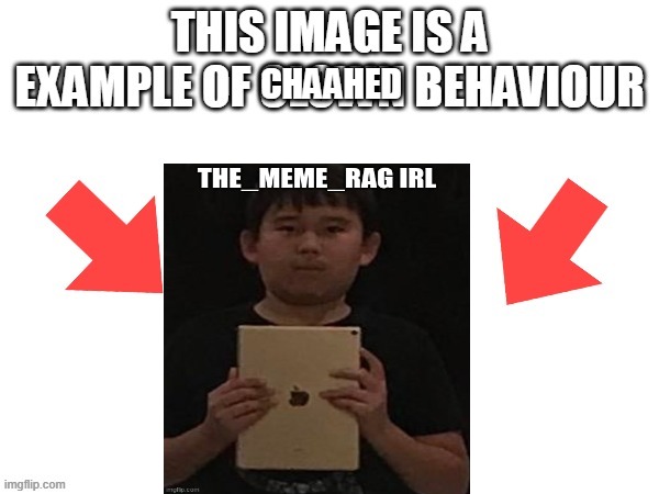 CHAAHED | image tagged in this image is a example of clown behaviour | made w/ Imgflip meme maker