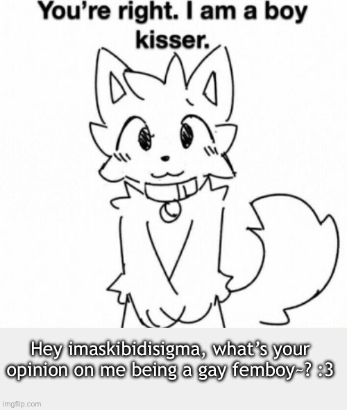 You're right. I am a boy kisser. | Hey imaskibidisigma, what’s your opinion on me being a gay femboy~? :3 | image tagged in you're right i am a boy kisser | made w/ Imgflip meme maker
