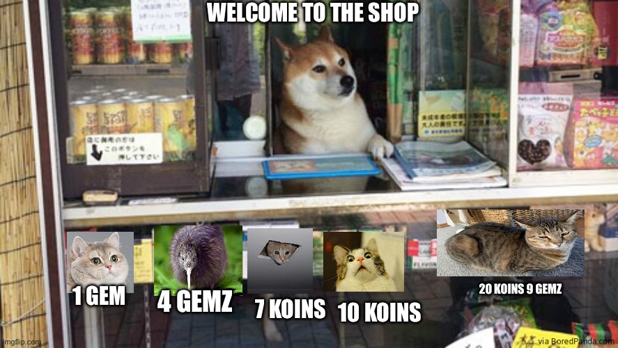 shop dog | WELCOME TO THE SHOP; 20 KOINS 9 GEMZ; 1 GEM; 4 GEMZ; 7 KOINS; 10 KOINS | image tagged in shop dog | made w/ Imgflip meme maker