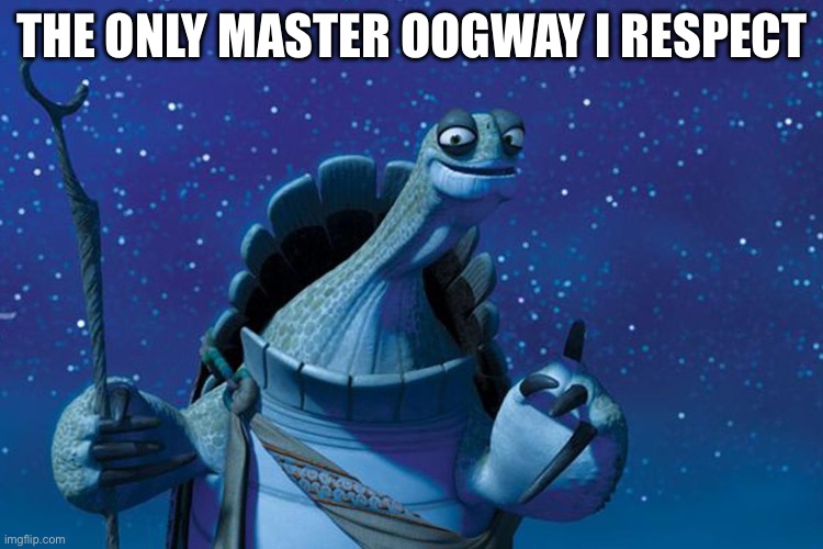 Master Oogway | THE ONLY MASTER OOGWAY I RESPECT | image tagged in master oogway | made w/ Imgflip meme maker