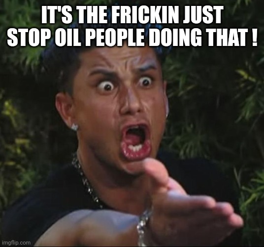 situation | IT'S THE FRICKIN JUST STOP OIL PEOPLE DOING THAT ! | image tagged in situation | made w/ Imgflip meme maker