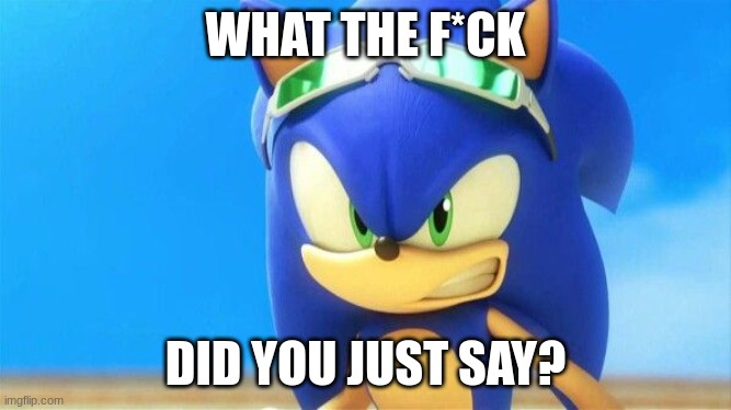 Really Angry Sonic | WHAT THE F*CK DID YOU JUST SAY? | image tagged in really angry sonic | made w/ Imgflip meme maker