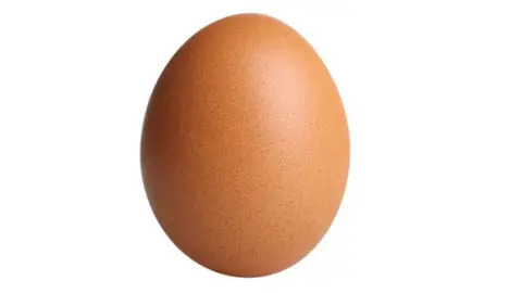 High Quality Trans egg Blank Meme Template