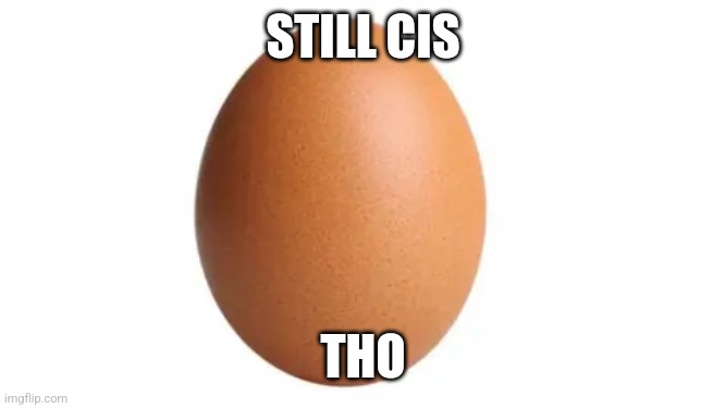 Trans egg ? | STILL CIS; THO | image tagged in trans egg,transgender | made w/ Imgflip meme maker