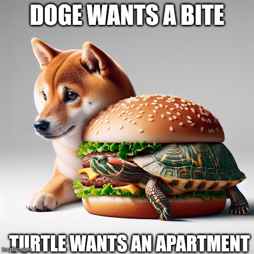 Big Mac | DOGE WANTS A BITE; TURTLE WANTS AN APARTMENT | made w/ Imgflip meme maker