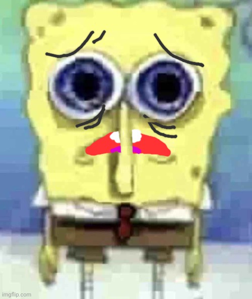 Traumatized spunch bop | image tagged in traumatized spunch bop | made w/ Imgflip meme maker