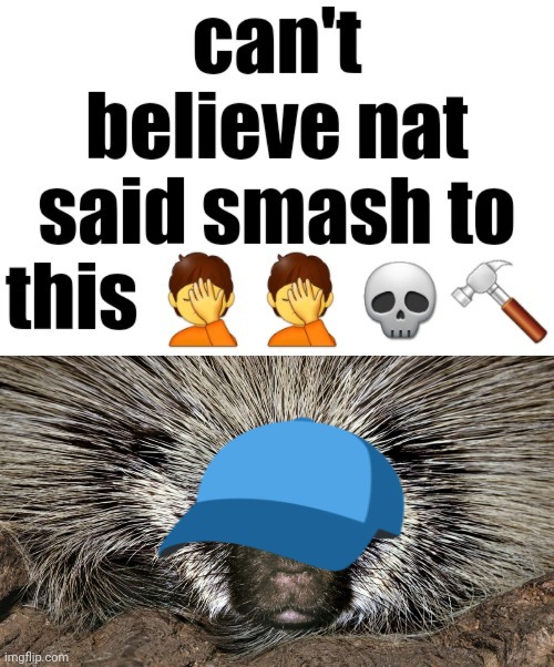 remember the gu with the porcupine hair | image tagged in can't believe nat said smash to this,porcupine | made w/ Imgflip meme maker