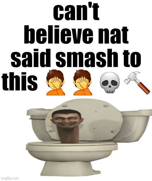 can't believe nat said smash to this | image tagged in can't believe nat said smash to this | made w/ Imgflip meme maker