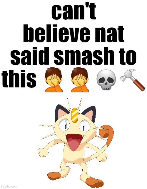 can't believe nat said smash to this | image tagged in can't believe nat said smash to this | made w/ Imgflip meme maker