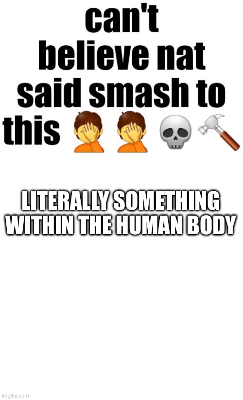 Can’t believe nat said smash to this | LITERALLY SOMETHING WITHIN THE HUMAN BODY | image tagged in can t believe nat said smash to this | made w/ Imgflip meme maker