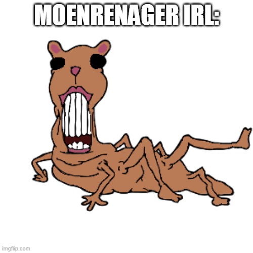 Abomination chomik | MOENRENAGER IRL: | image tagged in abomination chomik | made w/ Imgflip meme maker