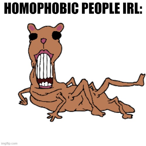 Abomination chomik | HOMOPHOBIC PEOPLE IRL: | image tagged in abomination chomik | made w/ Imgflip meme maker