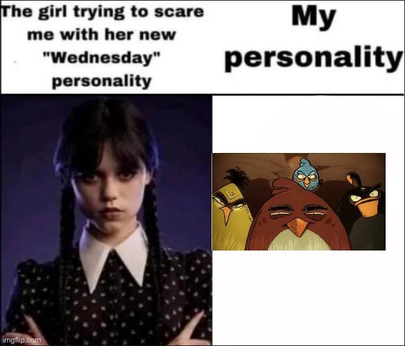 The girl trying to scare me with her new Wednesday personality | image tagged in the girl trying to scare me with her new wednesday personality,repost,angry birds mad at pigs | made w/ Imgflip meme maker